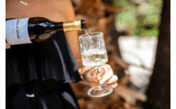 Juego De 2 Copas De Vino Berger 8 Juego De 2 Copas De Vino Berger -Berger 594239 4331207