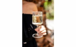 Juego De 2 Copas De Vino Berger 9 Juego De 2 Copas De Vino Berger -Berger 690069 4697631